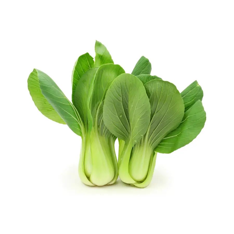 BokChoy Bunch Fresh BokChoy Bunch Fresh