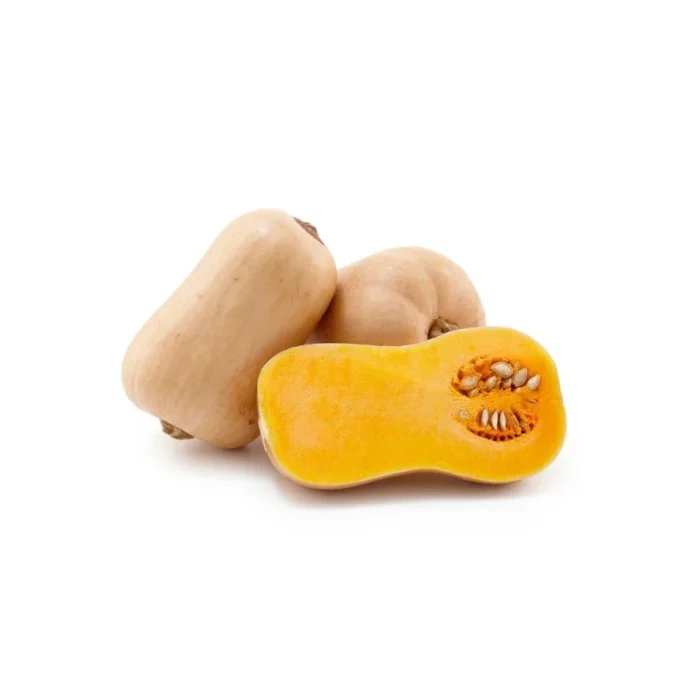 Butternut Fresh Each - Foodigo
