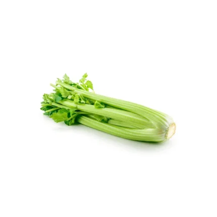 Celery Each Fresh