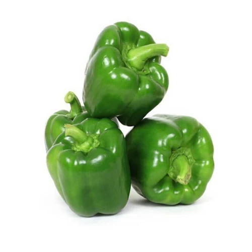 Fresh Green Capsicum Fresh Green Capsicum