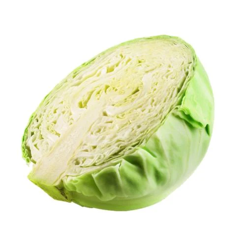 Fresh Half Cabbage (Large Size) Fresh Half Cabbage (Large Size)