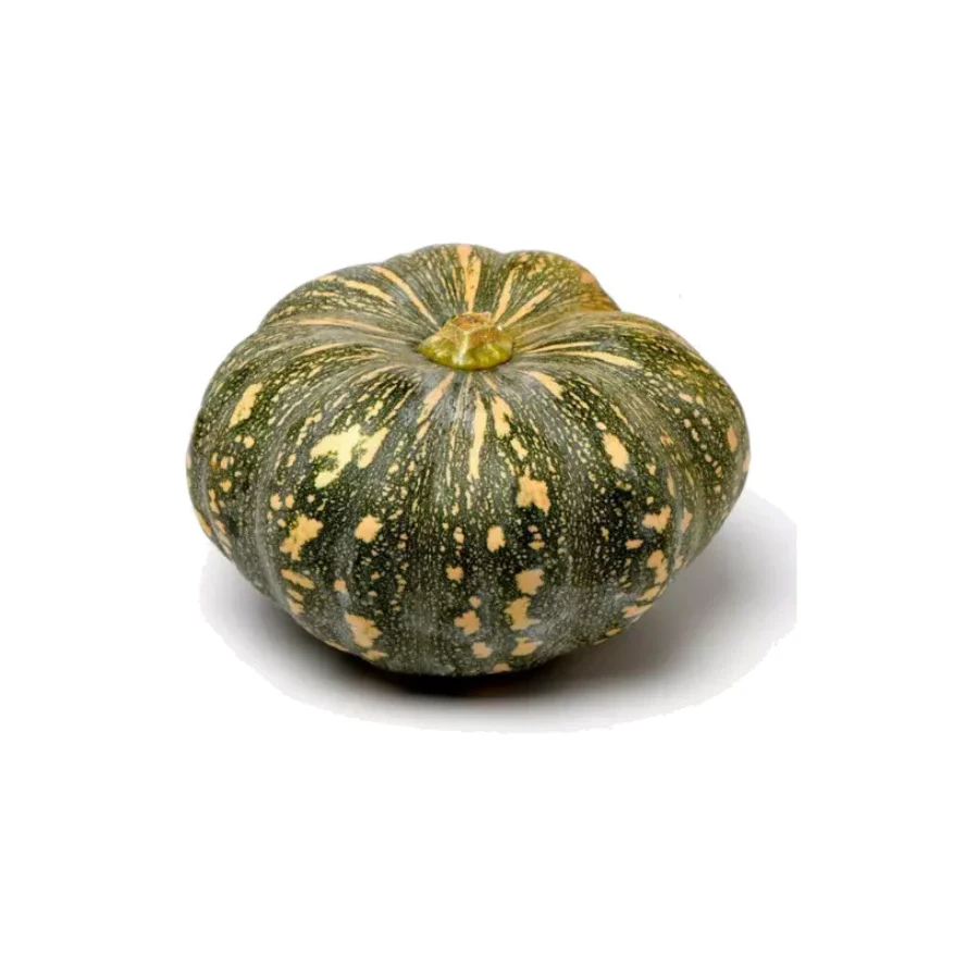 Jap Pumpkin Fresh Each Jap Pumpkin Fresh Each