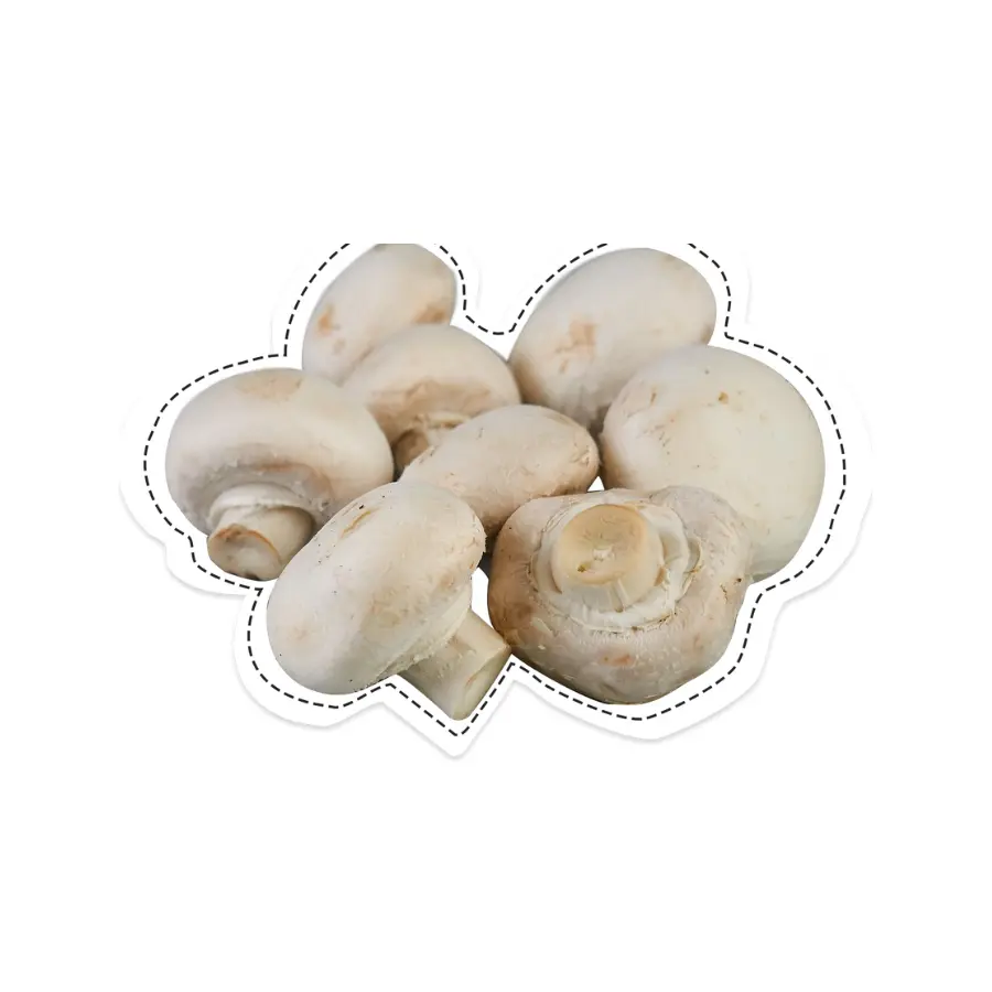 Mushroom Button 250g Punnet Fresh Mushroom Button 250g Punnet Fresh