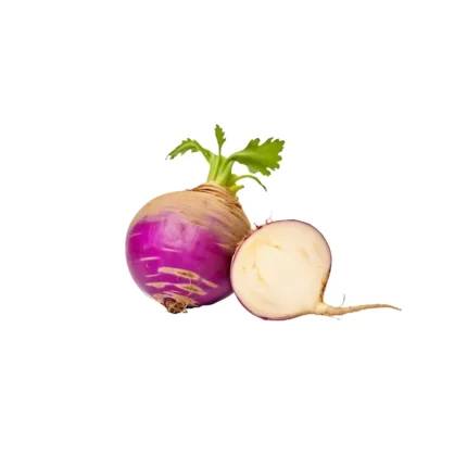 Turnip (490g-510g)