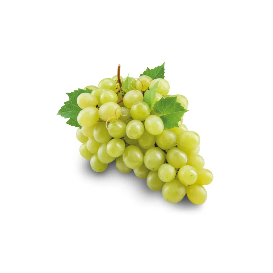 White Grapes Fresh White Grapes Fresh